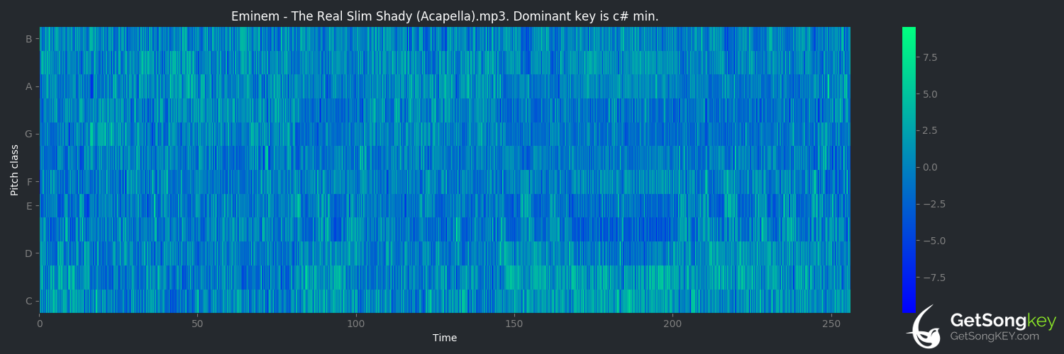 the real slim shady album songs